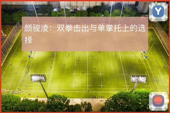 颜骏凌:双拳击出与单掌托上的选择